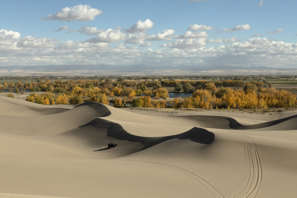 St. Anthony Sand Dunes Idaho A dramatic landscape view of the vast St. Anthony Sand Dunes in Idaho under a clear sky.