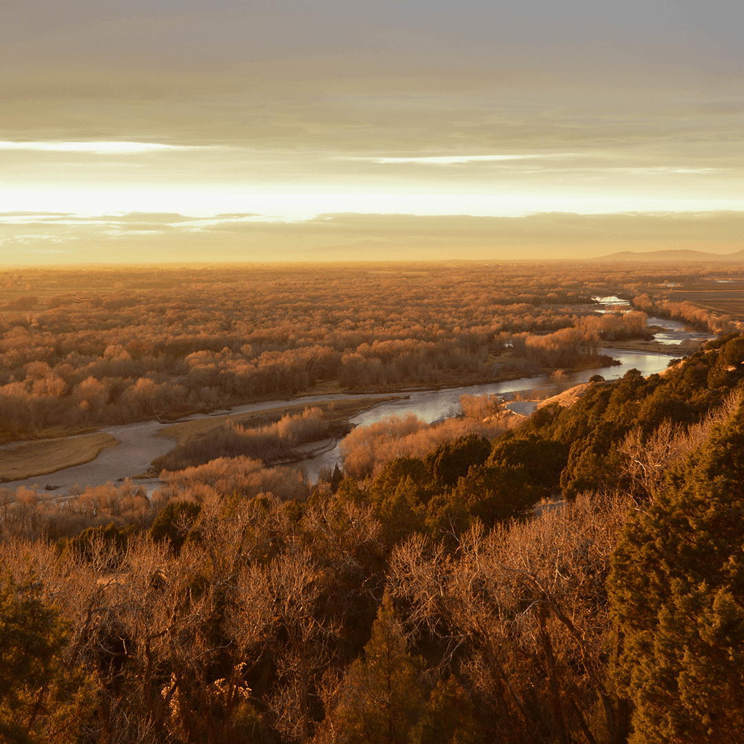 Best Cheap Date Ideas in Rexburg & Idaho Falls: A Local's Guide to Romance on a Budget